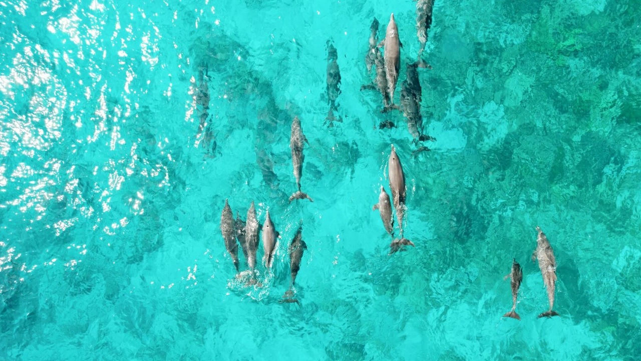Photo of Others in Male