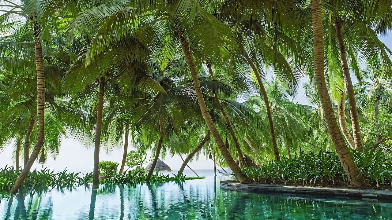 Photo of Outdoor in Reethi Rah