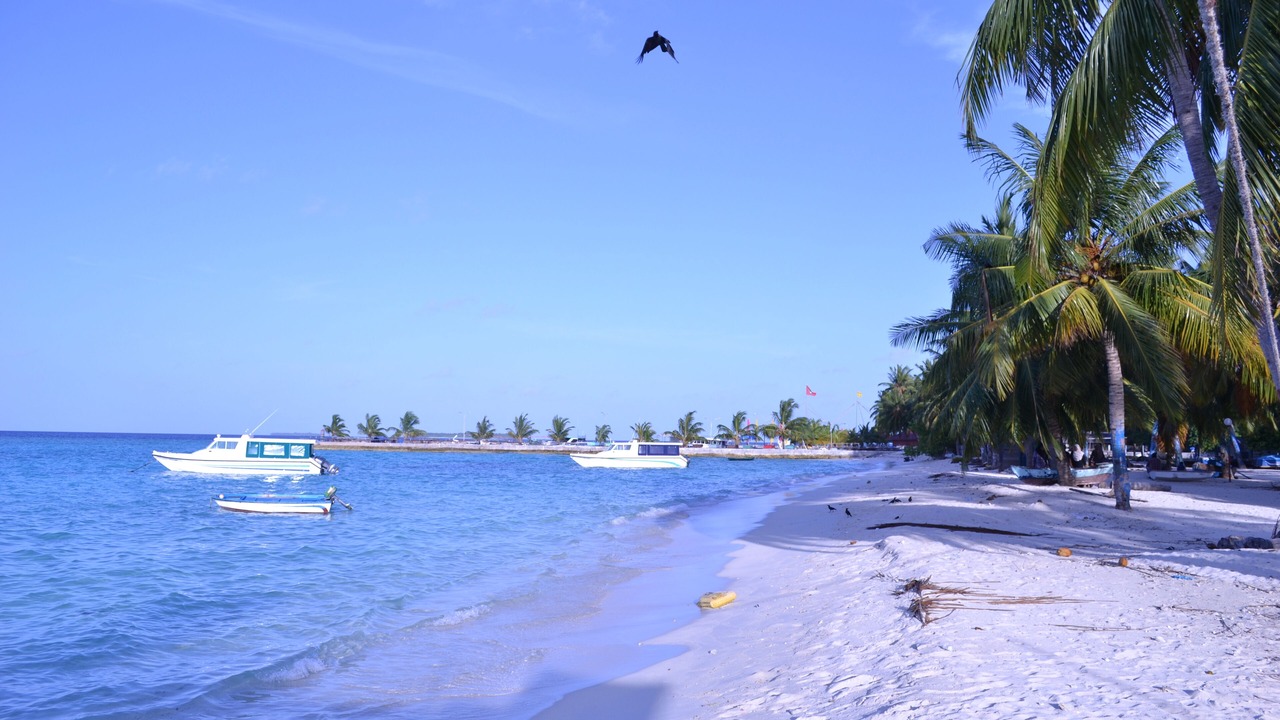 Photo of Others in Nilandhoo