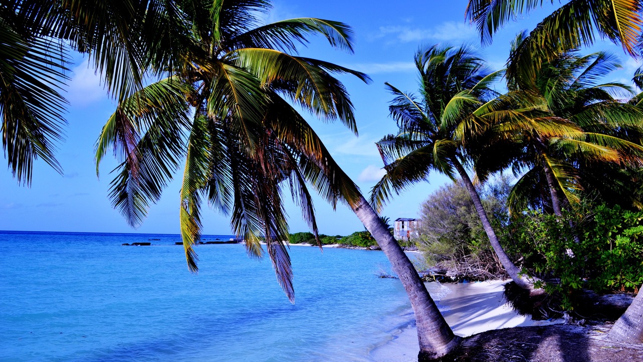 Photo of Others in Nilandhoo