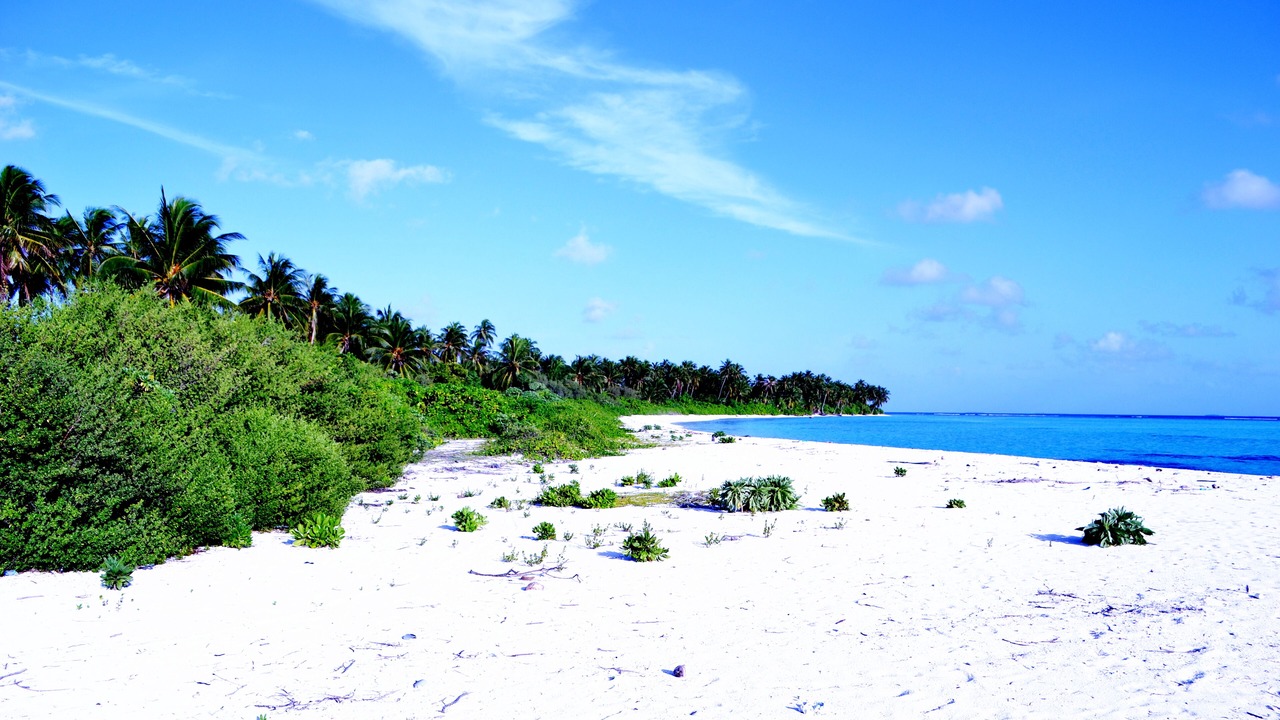 Photo of Others in Nilandhoo
