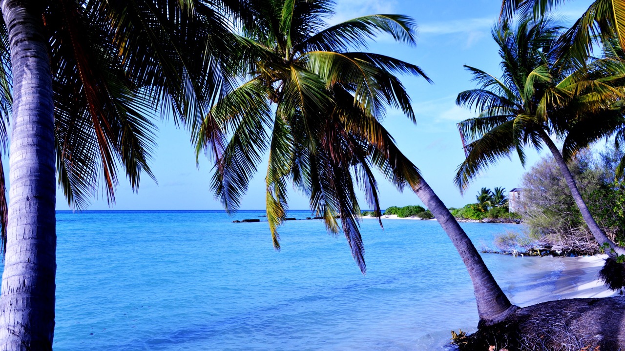 Photo of Others in Nilandhoo
