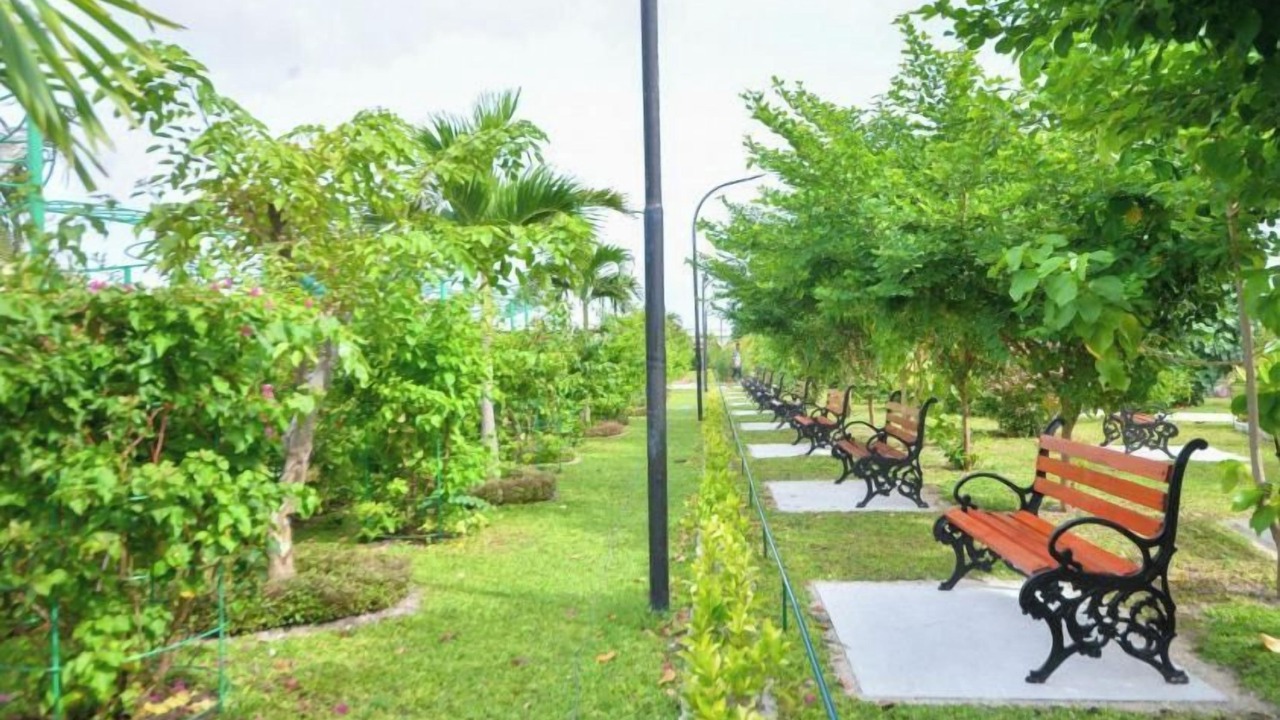 Photo of Outdoor in Male
