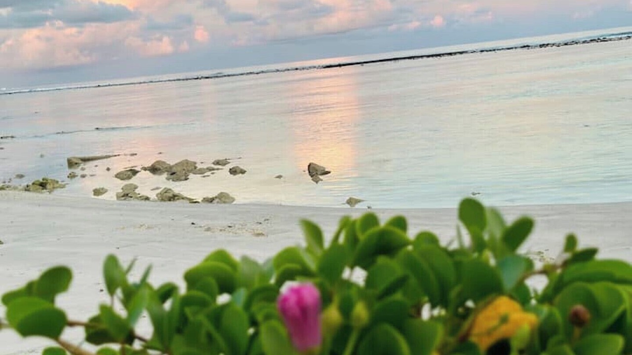 Photo of Others in Hulhumale