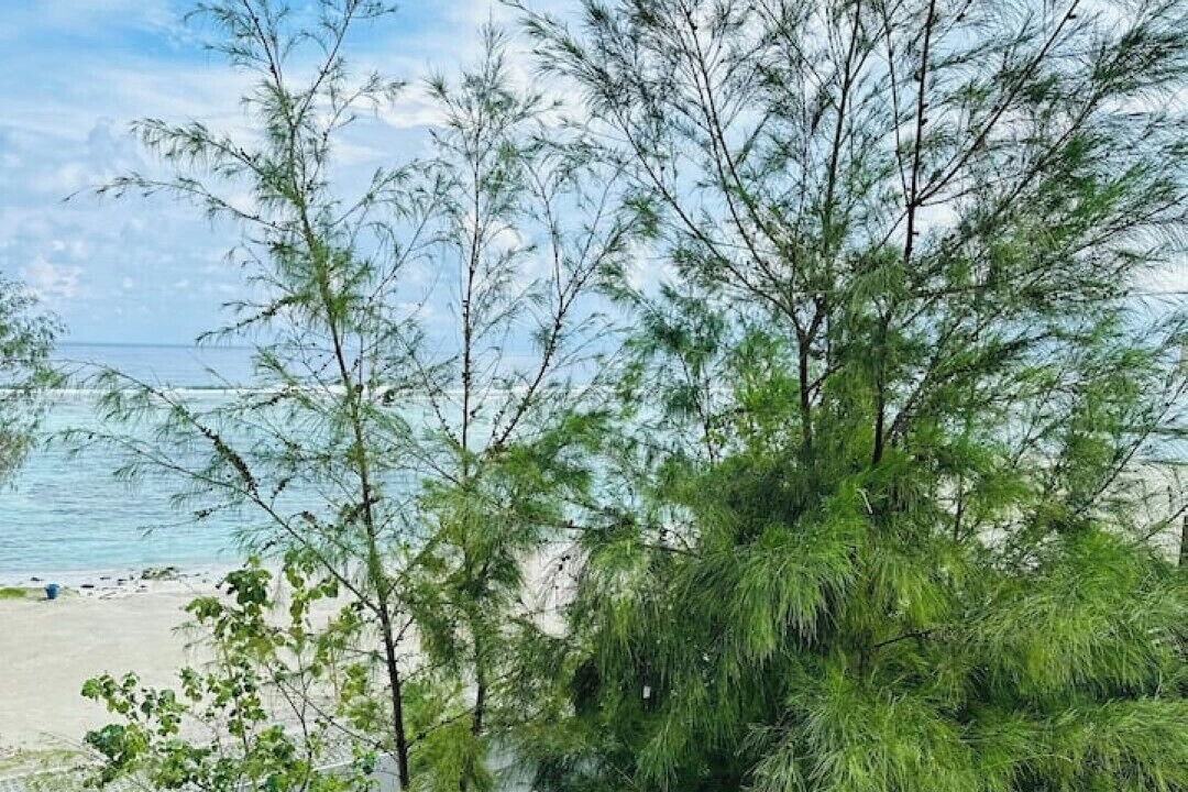 Photo of Others in Hulhumale