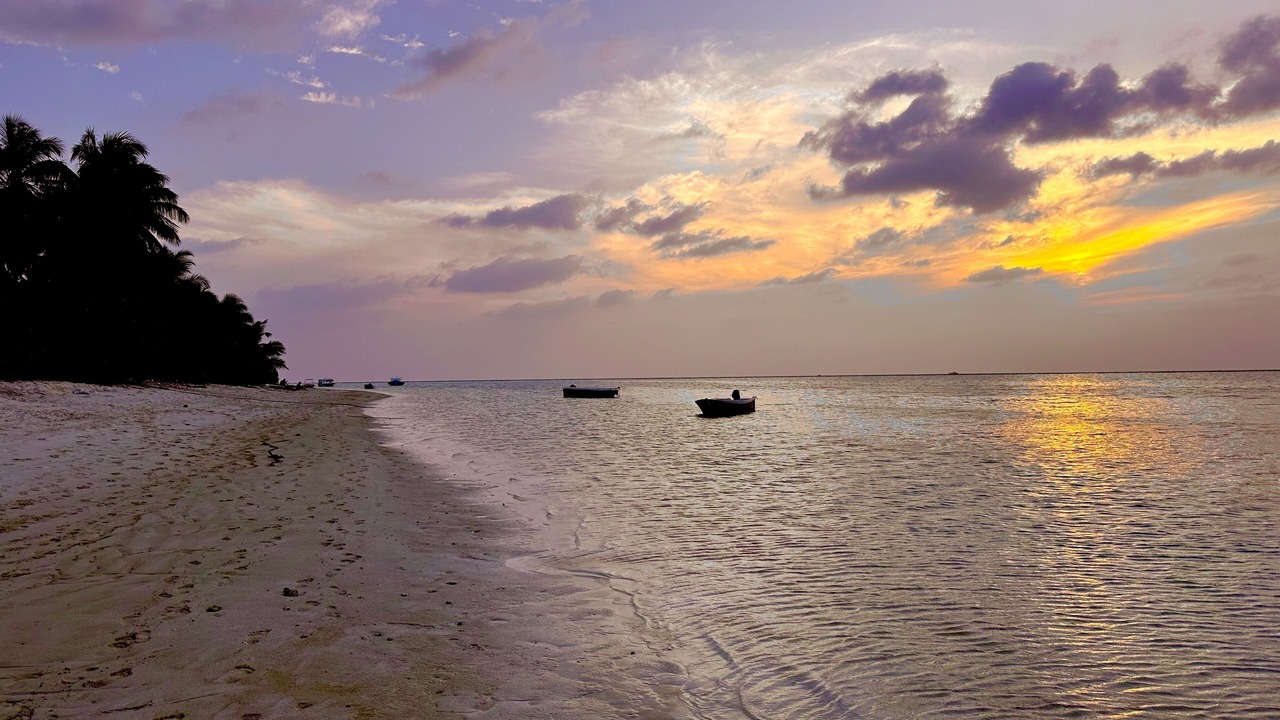 Photo of Others in Thoddoo