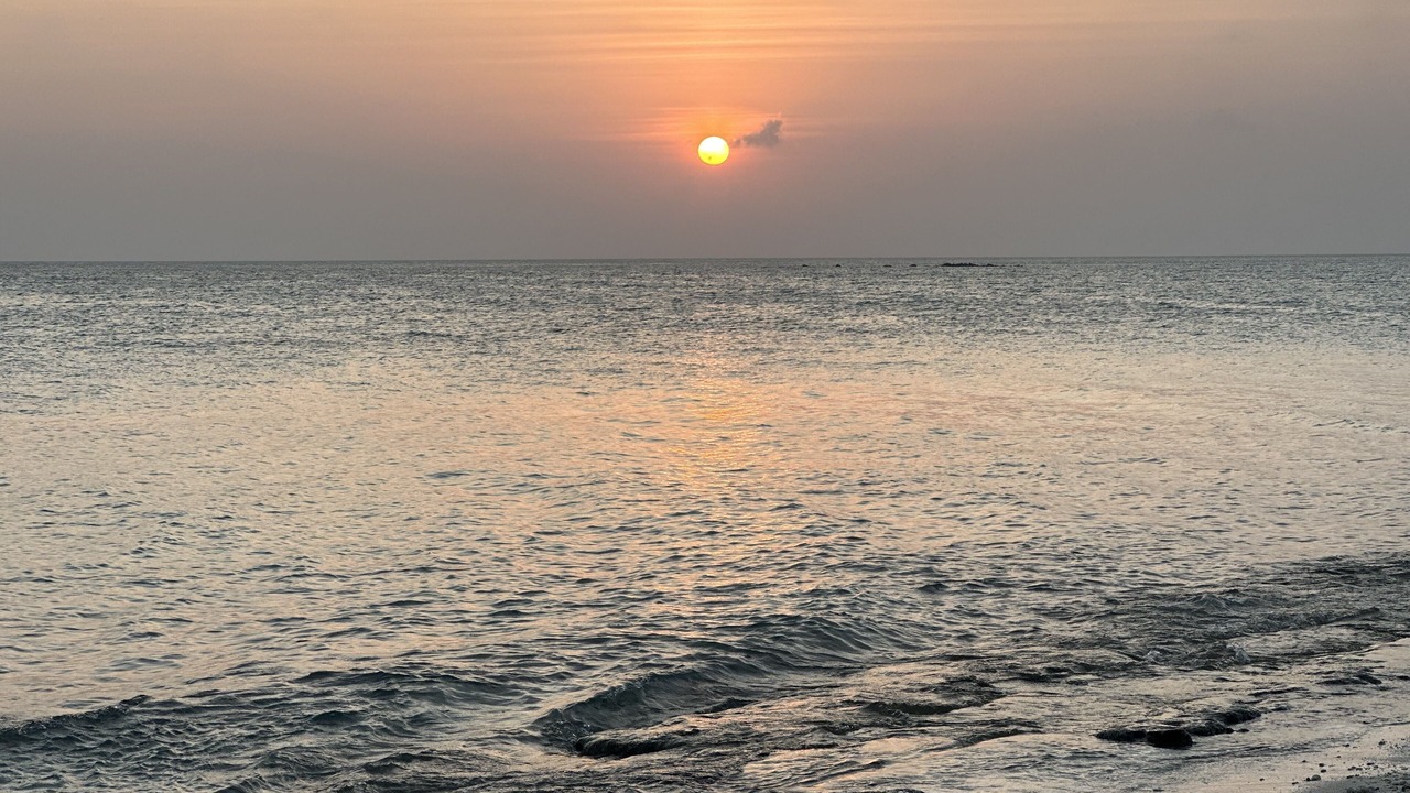 Photo of Others in Thoddoo