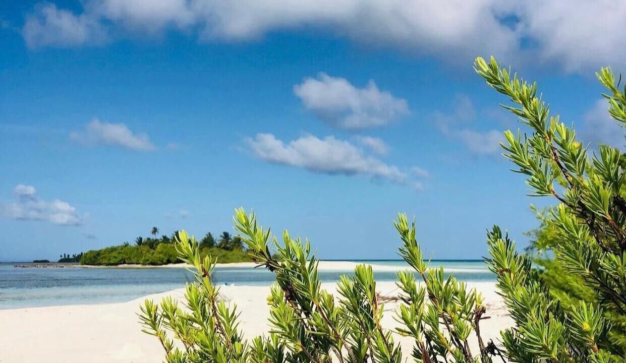 Photo of Others in Vaadhoo