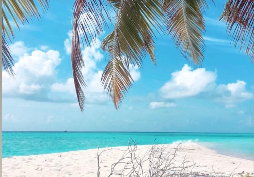 Photo of Others in Vaadhoo