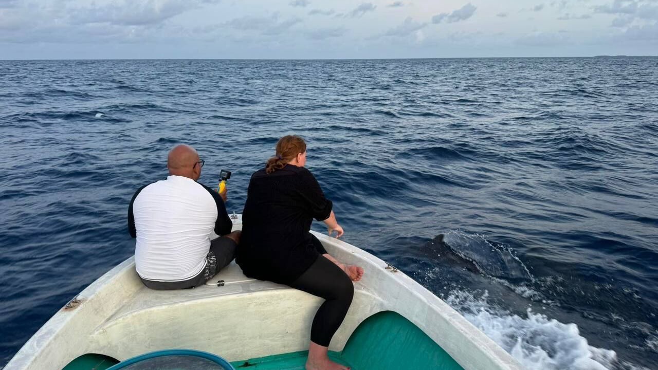 Photo of Others in Milandhoo