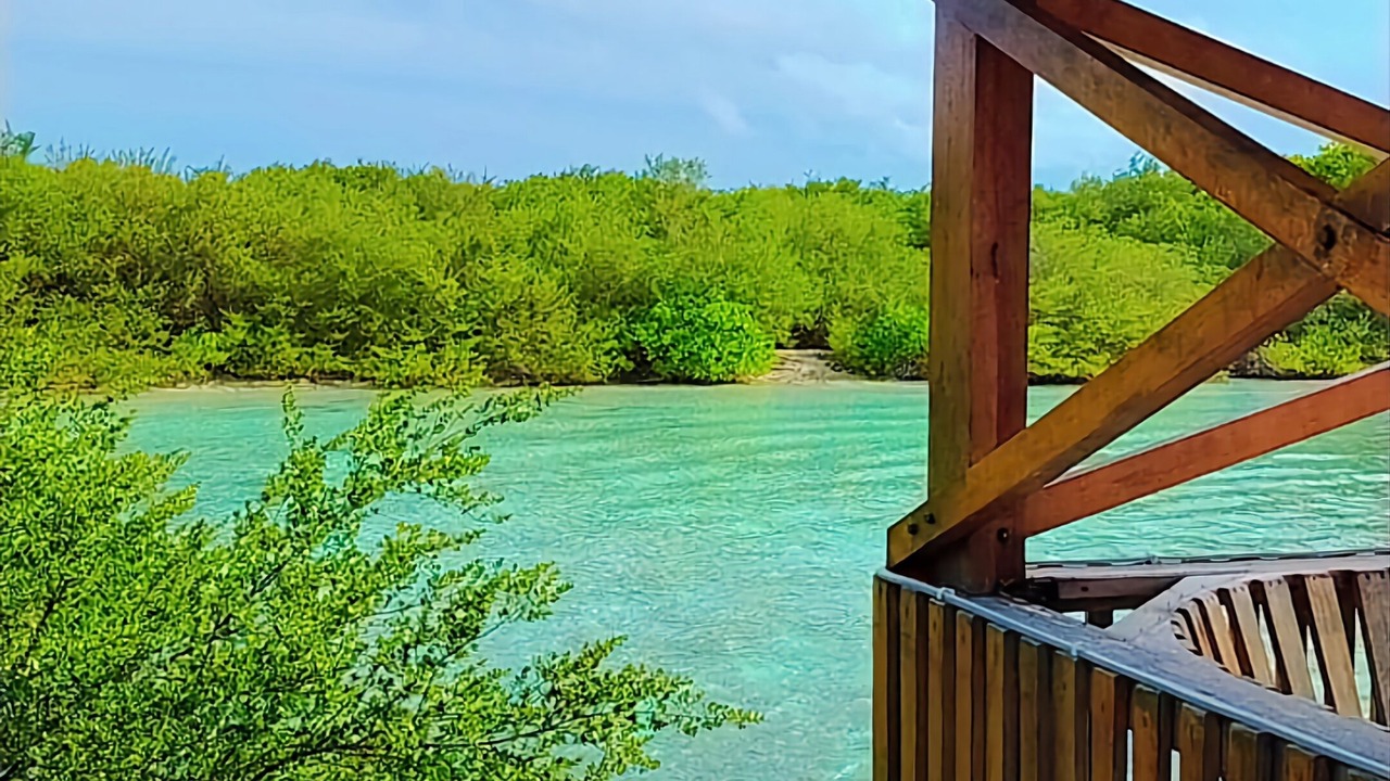 Photo of Outdoor in Thulusdhoo Island