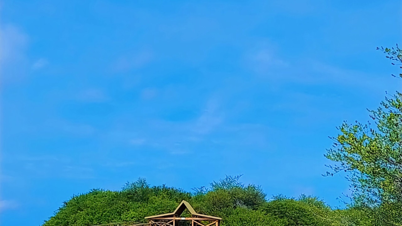 Photo of Others in Thulusdhoo Island