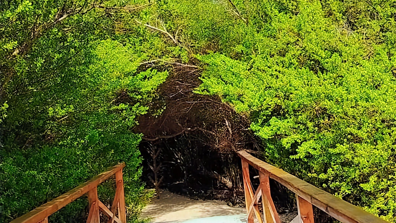 Photo of Outdoor in Thulusdhoo Island