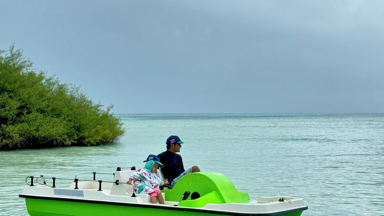 Photo of Others in Gaafu Alifu Atoll