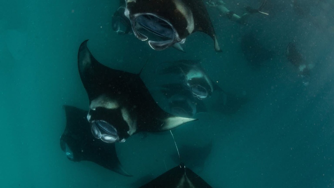 Photo of Others in Hithadhoo