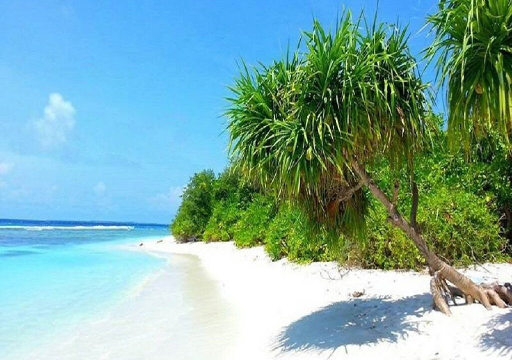 Photo of Others in Hithadhoo