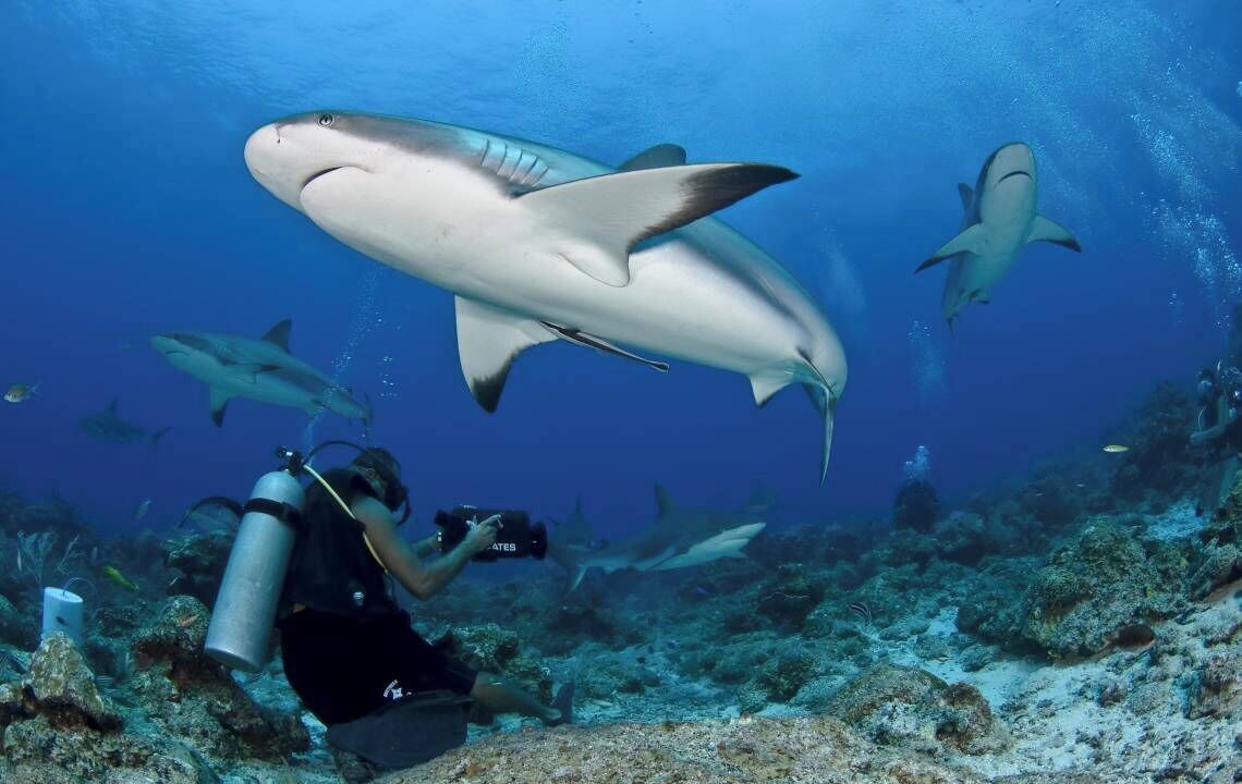 Photo of Others in Noonu Atoll
