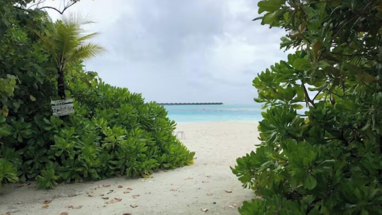 Photo of Others in Dhiffushi