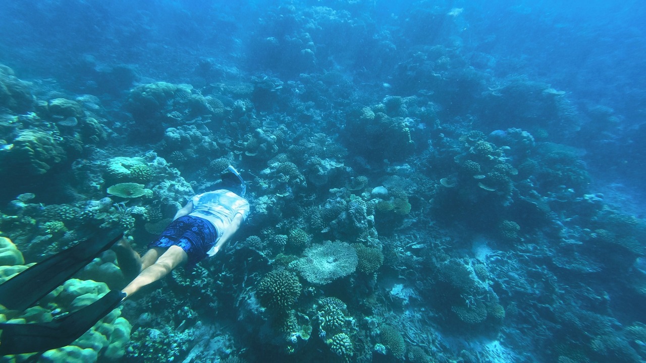 Photo of Others in Kudahuvadhoo