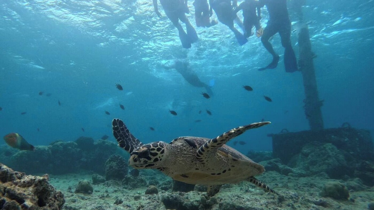 Photo of Others in Kudahuvadhoo