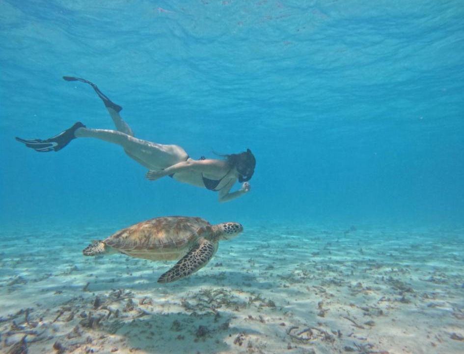 Photo of Others in Thoddoo