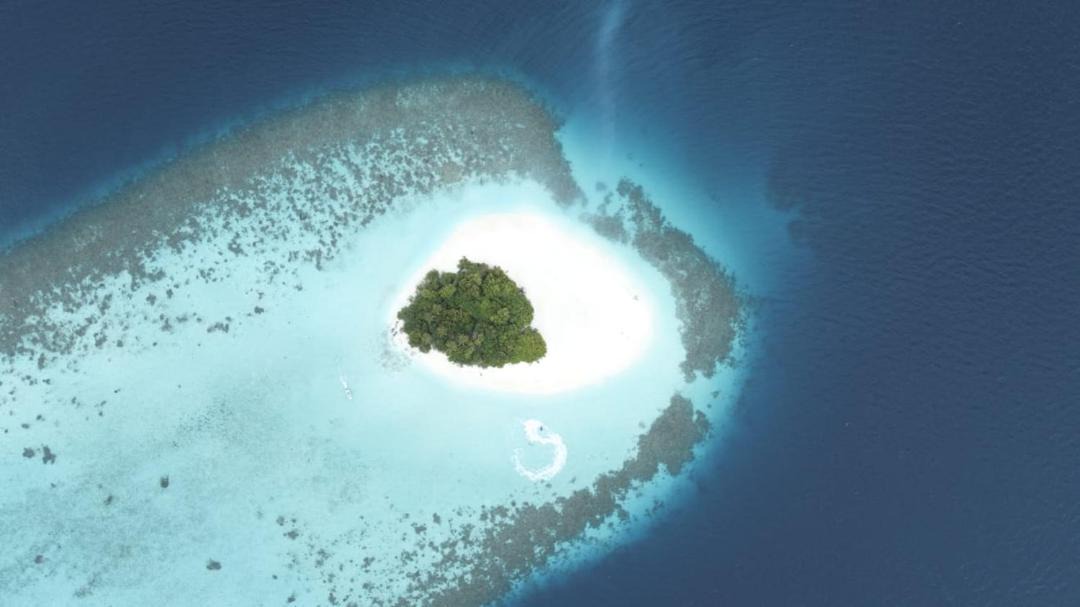 Photo of Others in Dhidhoofinolhu Island