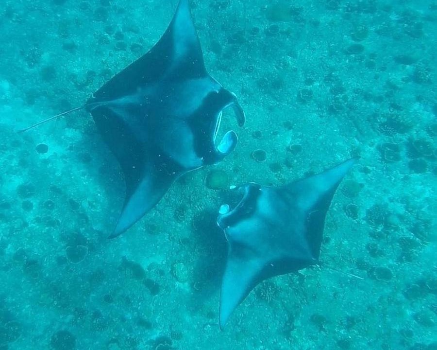 Photo of Others in Mandhoo
