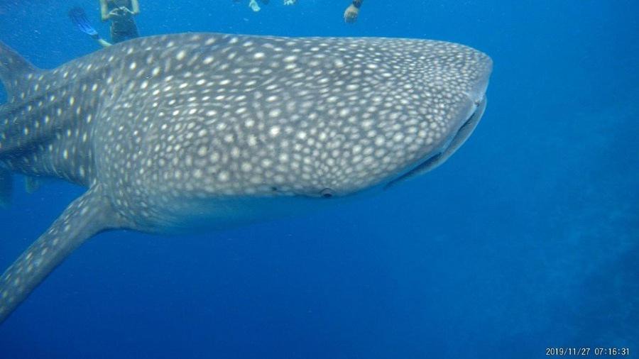 Photo of Others in Mandhoo