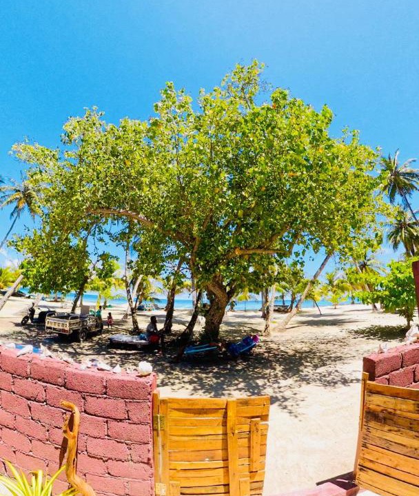 Photo of Others in Omadhoo