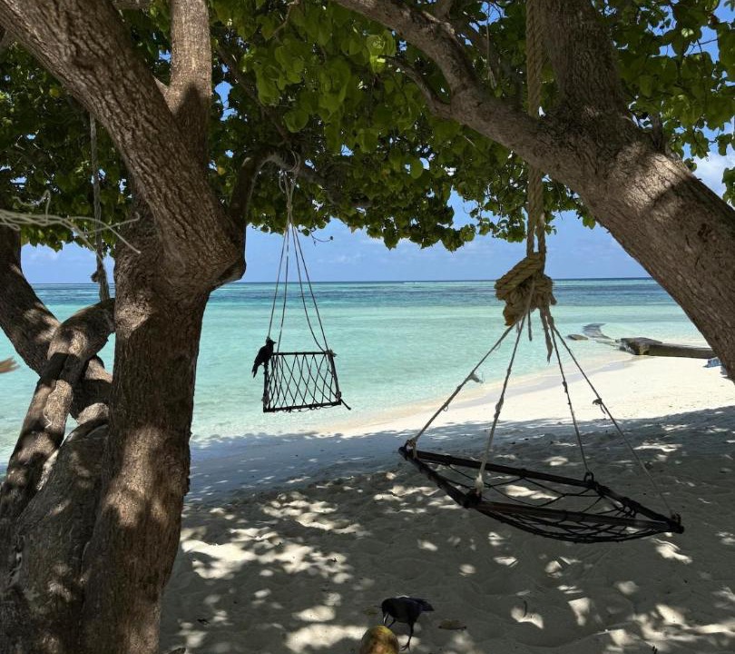 Photo of Others in Maafushi