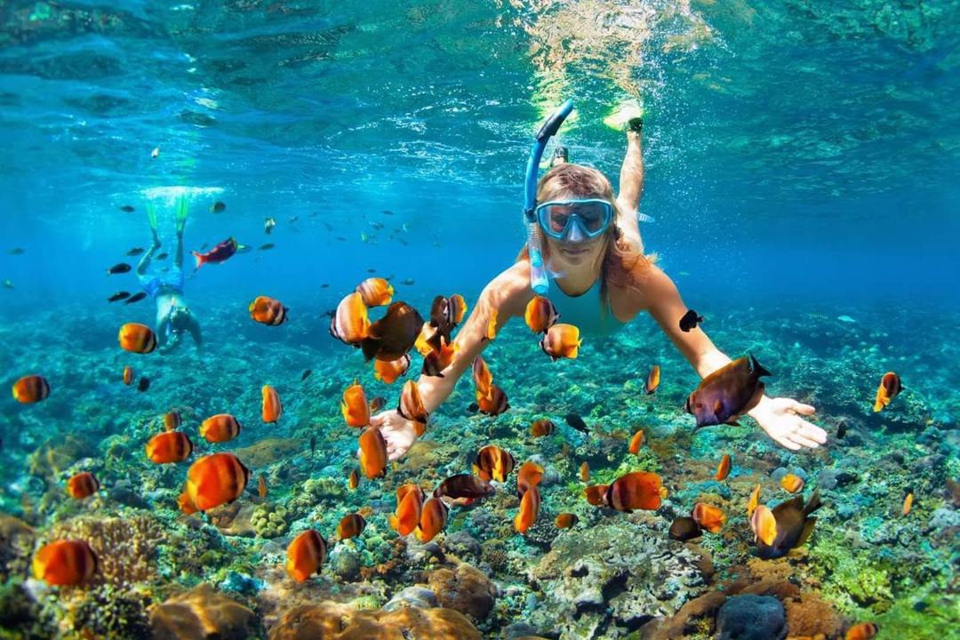 Photo of Others in Ukulhas