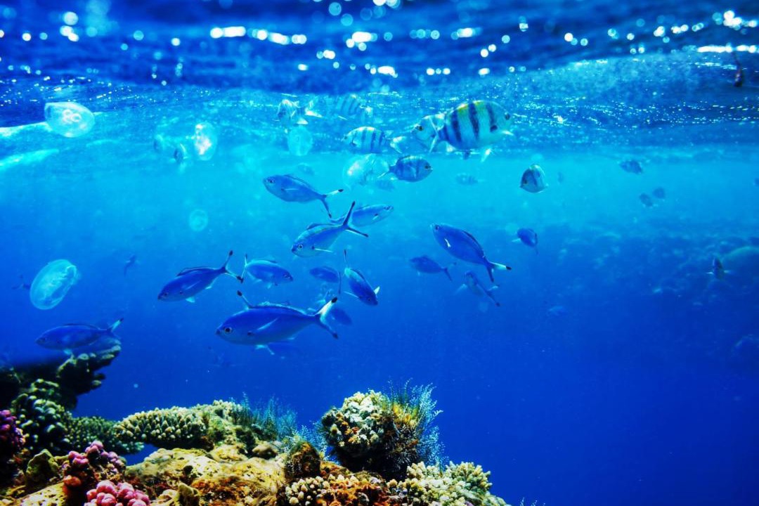 Photo of Others in Ukulhas