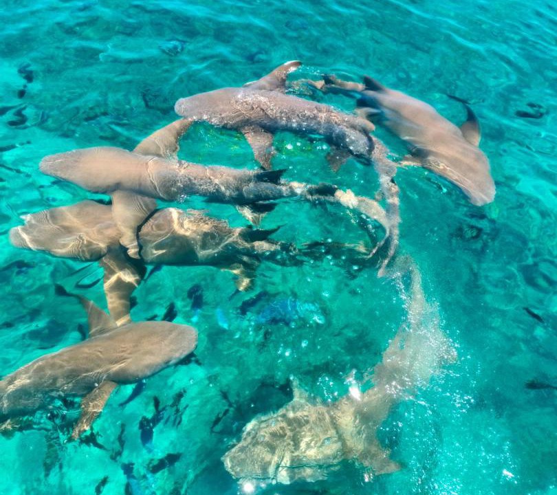 Photo of Others in Ukulhas