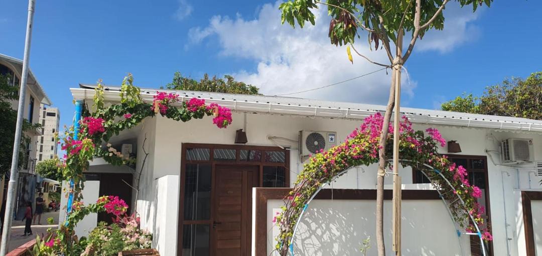 Photo of Others in Huraa
