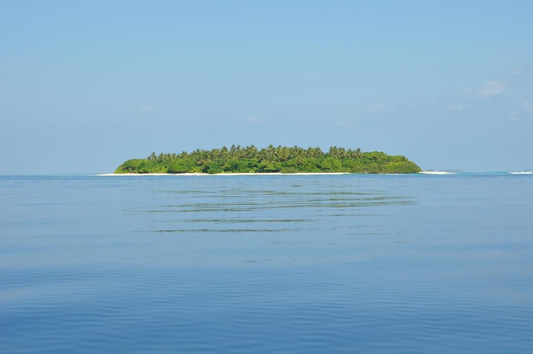 Photo of Others in Dharavandhoo