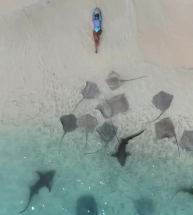 Photo of Others in Thulusdhoo Island