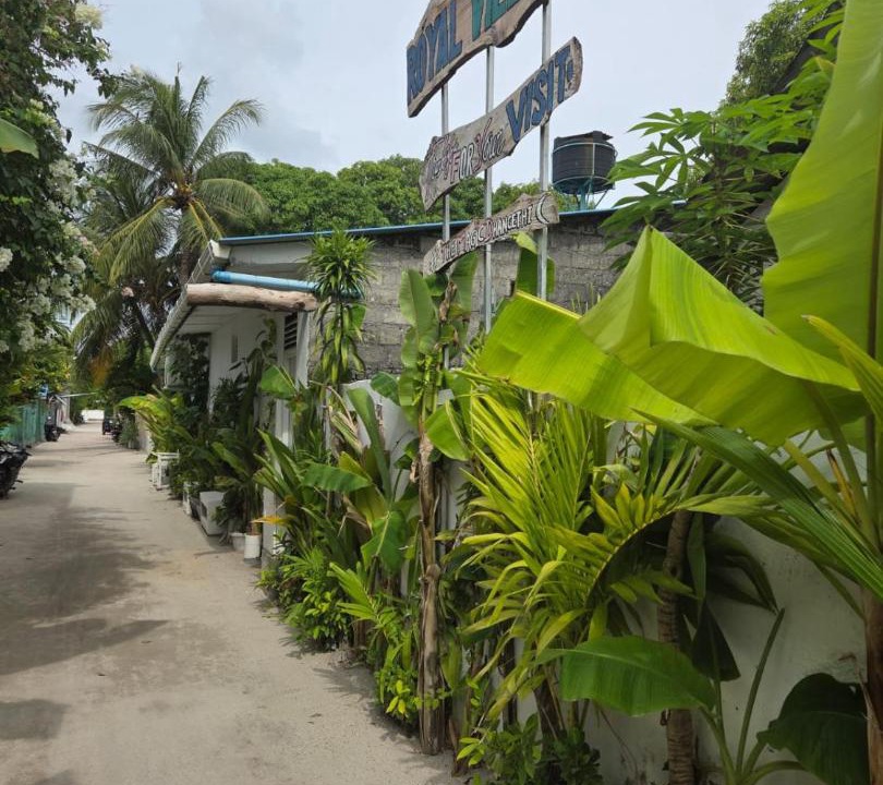 Photo of Others in Dhangethi