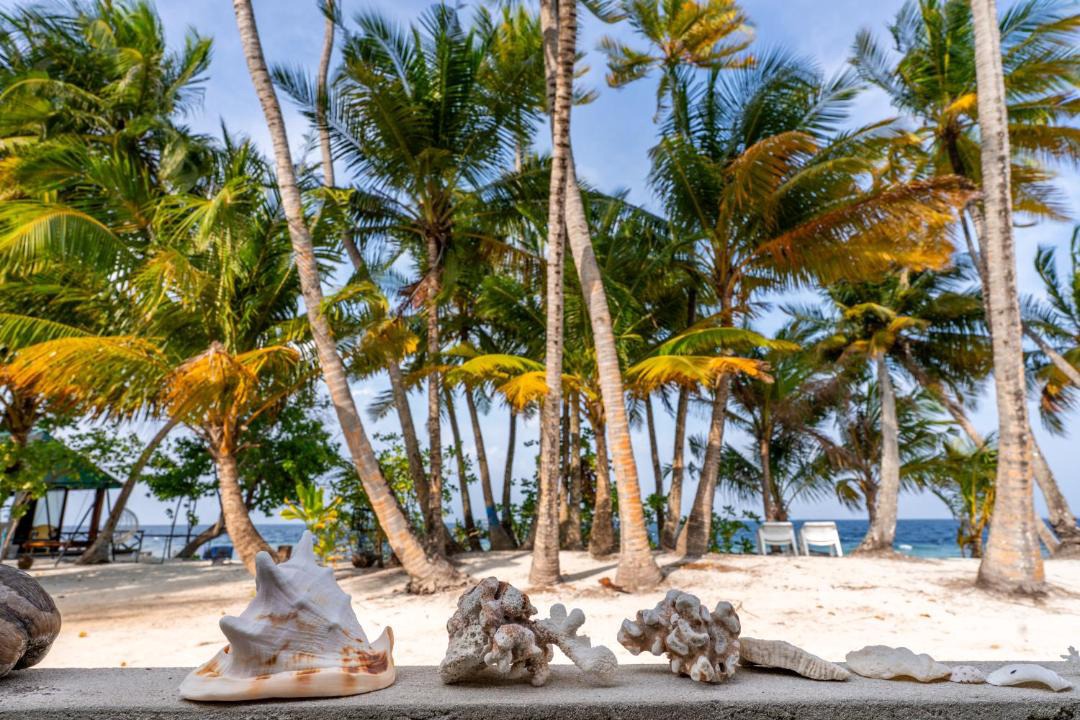 Photo of Others in Rinbudhoo