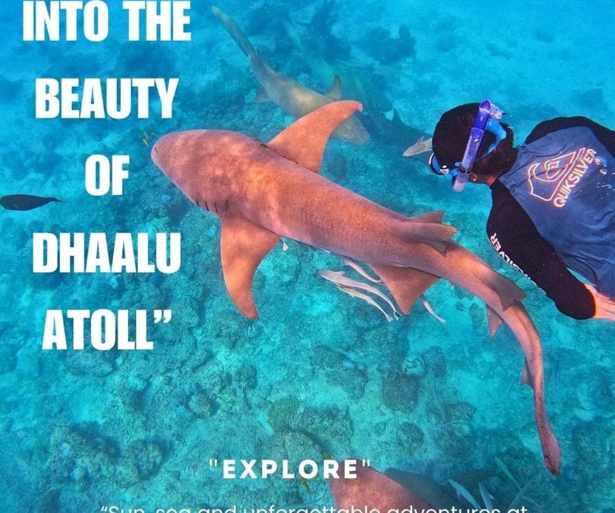 Photo of Human In Picture in Kudahuvadhoo