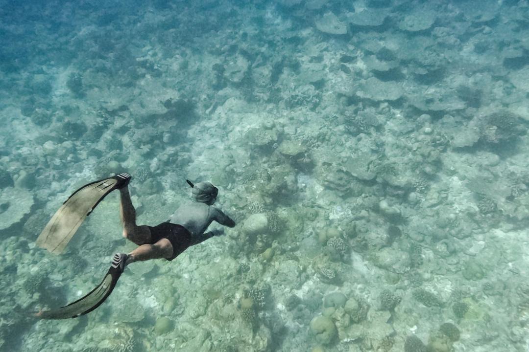 Photo of Human In Picture in Kudahuvadhoo