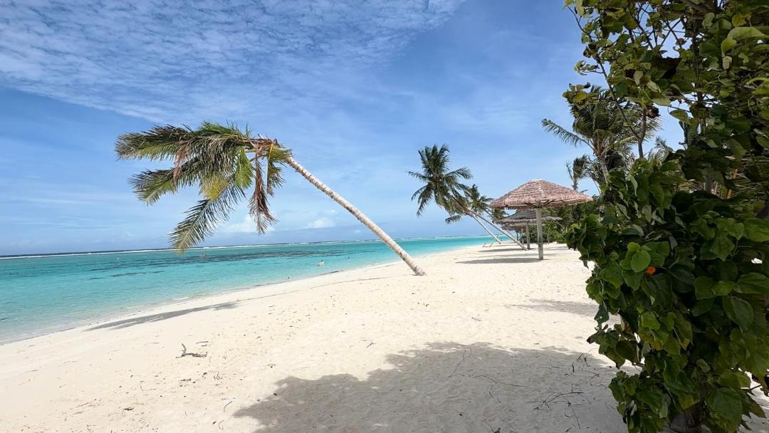 Photo of Others in Thoddoo