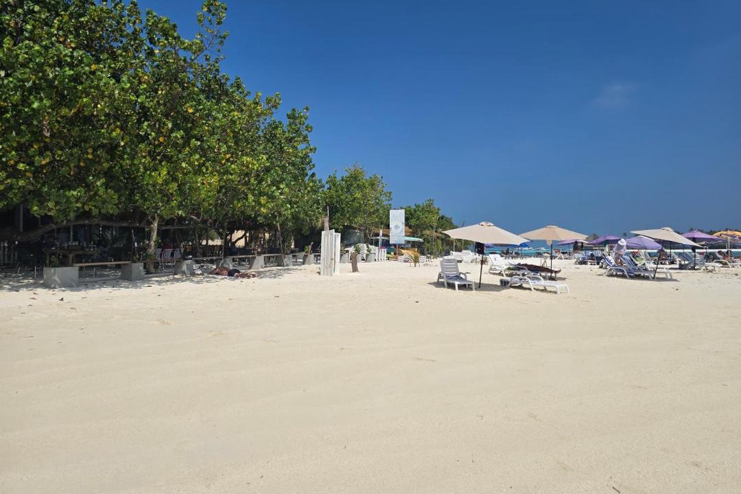 Photo of Others in Dhiffushi