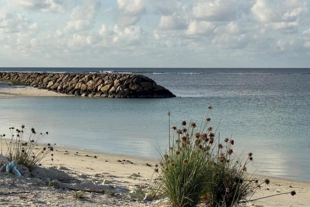 Photo of Others in Dhaandhoo