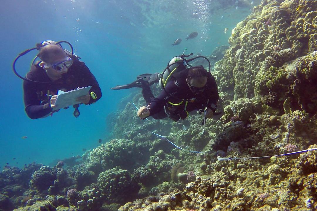 Photo of Others in Fenfushi