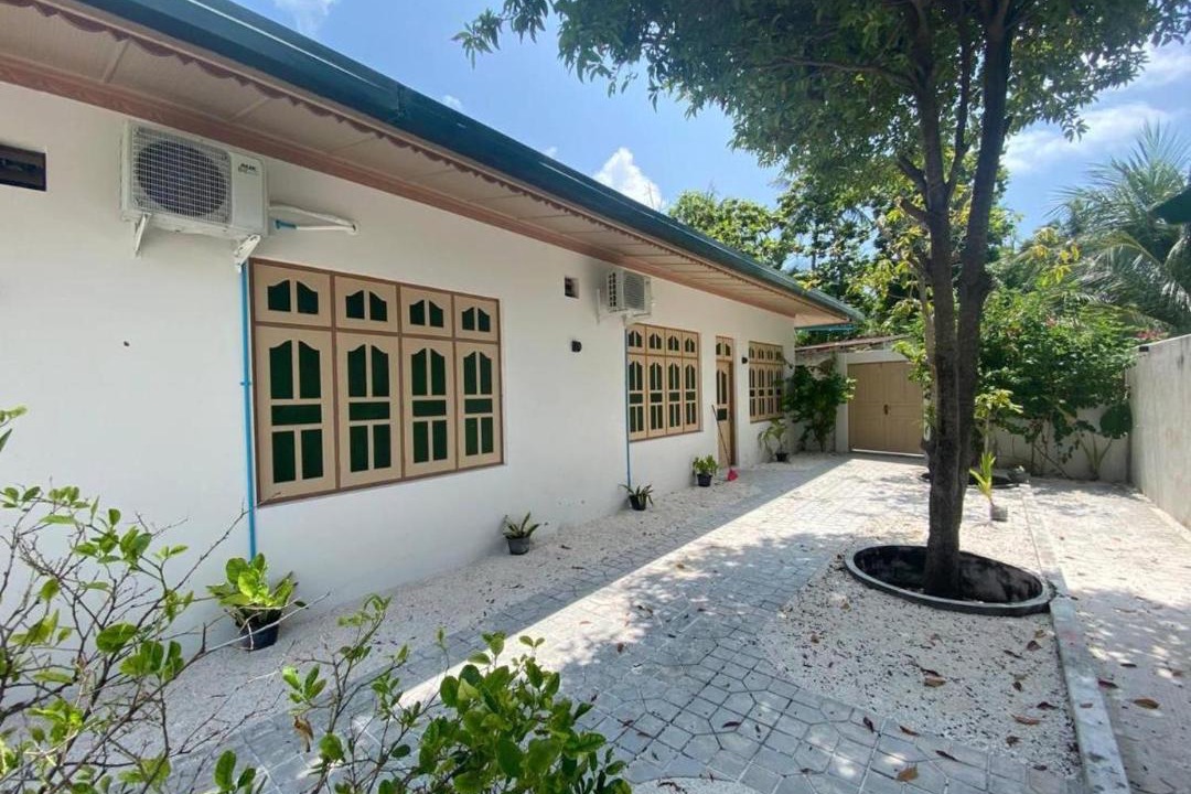 Photo of Others in Fenfushi