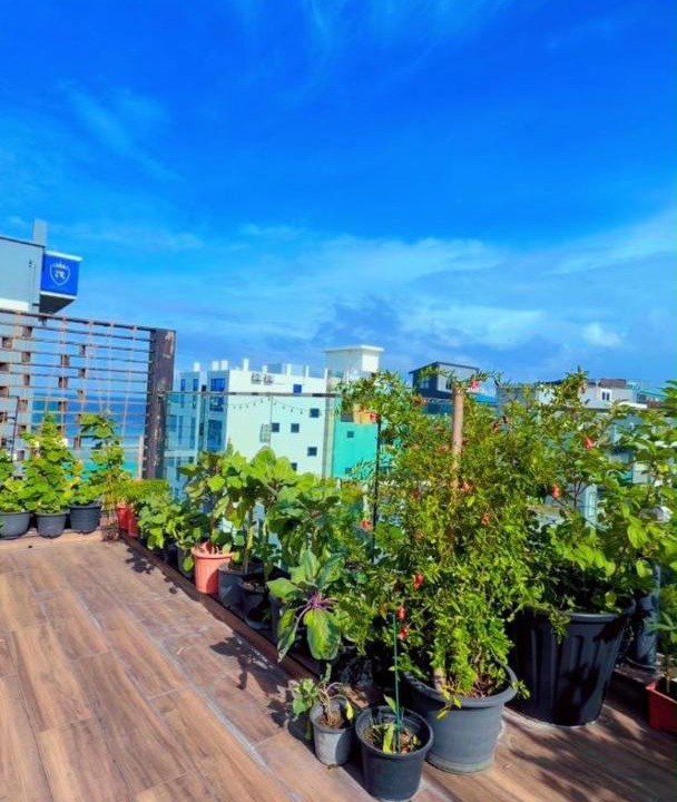 Photo of Others in Hulhumale