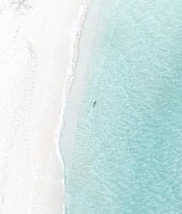Photo of Others in Dhigurah