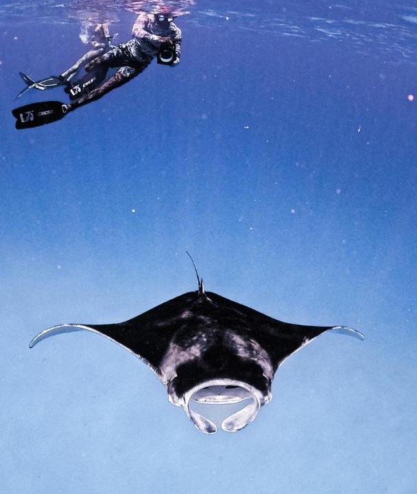 Photo of Others in Dhigurah
