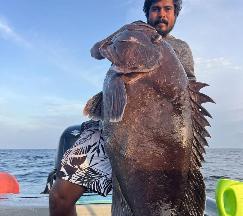 Photo of Others in Bodufolhudhoo