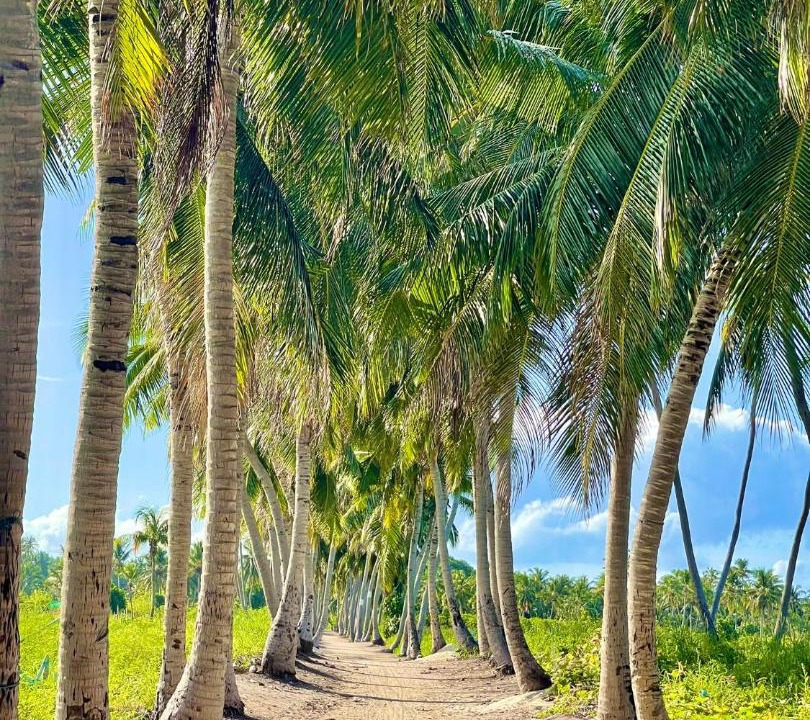 Photo of Others in Thoddoo